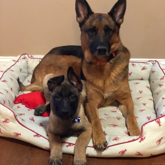 Meet your Posher, Steph - Picture 6 of 7